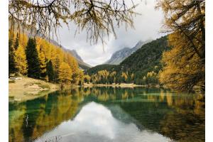 Herbst pur