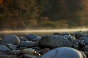 Aare am frühen Morgen