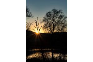Sonnenuntergang am Gerzensee Sonnenuntergang am Gerzensee