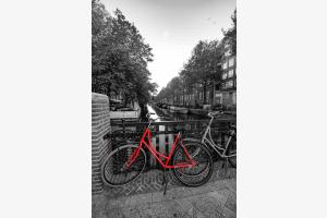 Auf den (Wasser-) Strassen von Amsterdam
