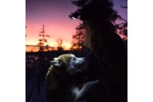 Finnsch Lappland 
