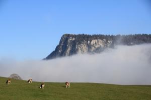 Bärtiger Berg Bärtiger Berg