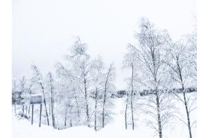 Finnisch Lappland Finnisch Lappland