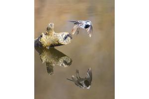 Abflug
