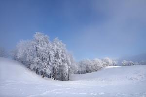 Winterzauberland
