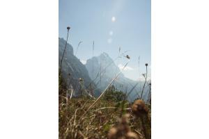 Bergsommer