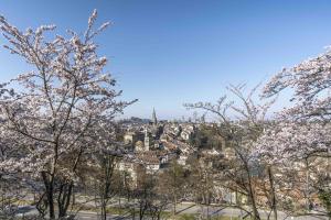 Frühlin in Bern Frühlin in Bern