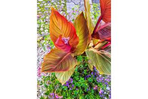 Blumen