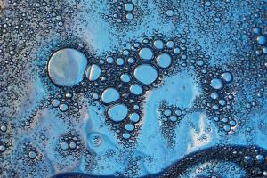 Bubbles Bubbles