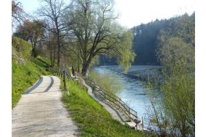 Bei der Aarefähre in Bremgarten