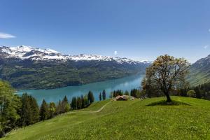 Brienzersee