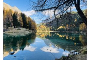Herbstliches Spiegelbild