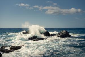 Splash 