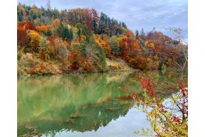 fifty colors of autumn fifty colors of autumn