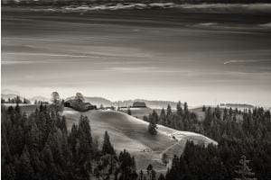 Emmental
