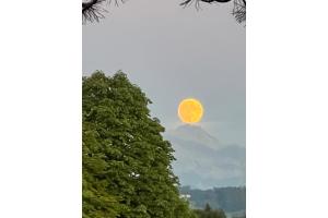 Mond über dem Säntis Mond über dem Säntis