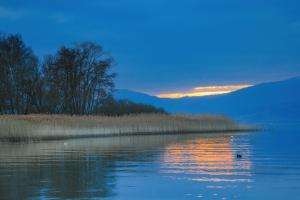 Neuenburgersee Neuenburgersee