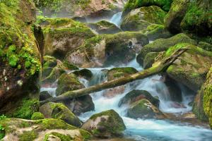 mountain stream rushes over mossy rocks in forest mountain stream rushes over mossy rocks in forest