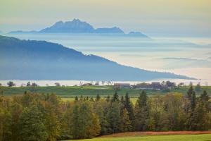 foggy landscape foggy landscape