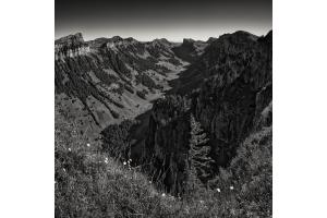 Niederhorn mit Blick zur Sichel