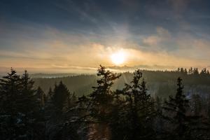 Winterliche Morgenstimmung Winterliche Morgenstimmung