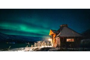 Winter Under an arctic sky