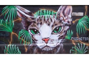 Graffiti