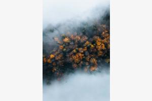 Mystischer Herbstzauber