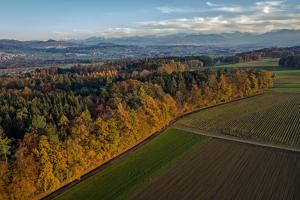 Herbst im Mittelland