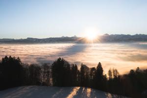 Gegenlicht über dem Nebelmeer
