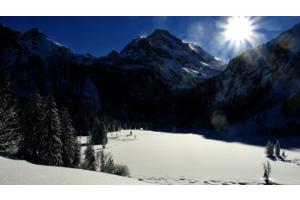 Lauenensee im Gegenlicht