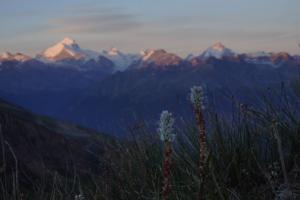 Sonnenaufgang im Wallis 