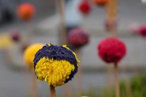 Pompons