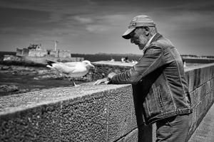 Möwenflüsterer auf der Mauer von St. Malo/Bretagne (F)