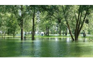 Inondation