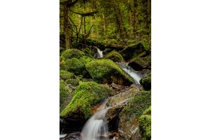 Cascade Cascade