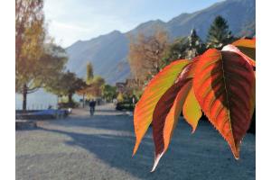 Im Glanz der Herbstsonne