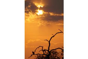 Sonnenuntergang