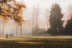 Herbst im Rosengarten