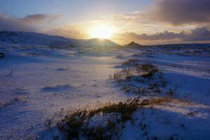 LANDSCHAFT