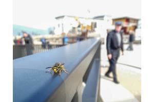 Faszinierende Begegnung Faszinierende Begegnung