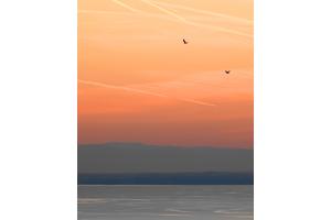 Coucher soleil Léman Lausanne