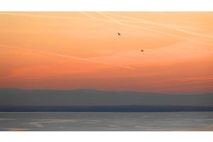 Coucher soleil Léman Lausanne