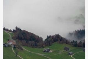 Nebel Nebel