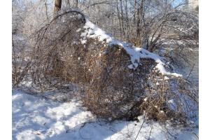 Winterliche Verhältnisse am Sensedamm