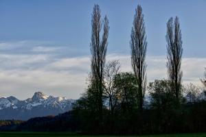 Alpenblick Alpenblick
