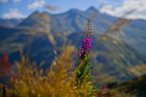 Leuchtfarbe