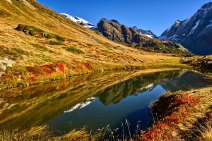 Farbenfrohe Natur