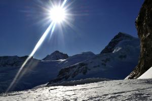 Sonnenschweif Sonnenschweif