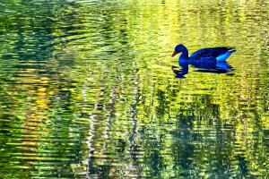 Einsam in der Reflektion
